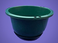6" Green Hanging Pot